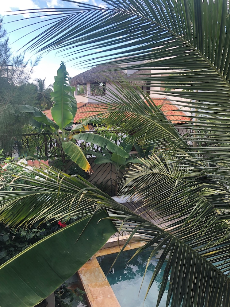Classic Double Room, Balcony, Garden View photo 2