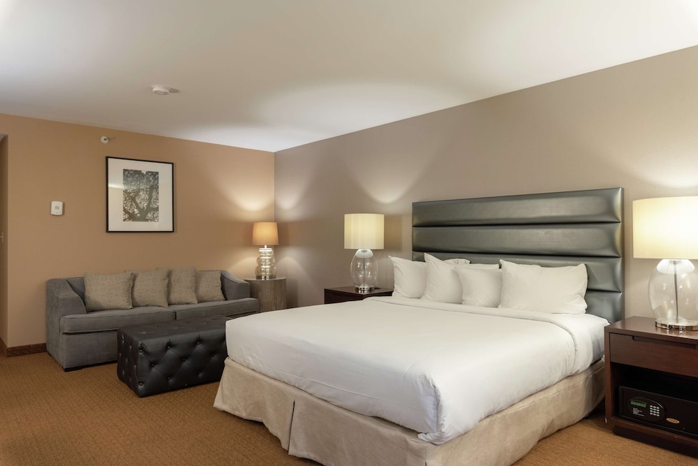 Room, 1 King Bed (Oversized) - Photo 3