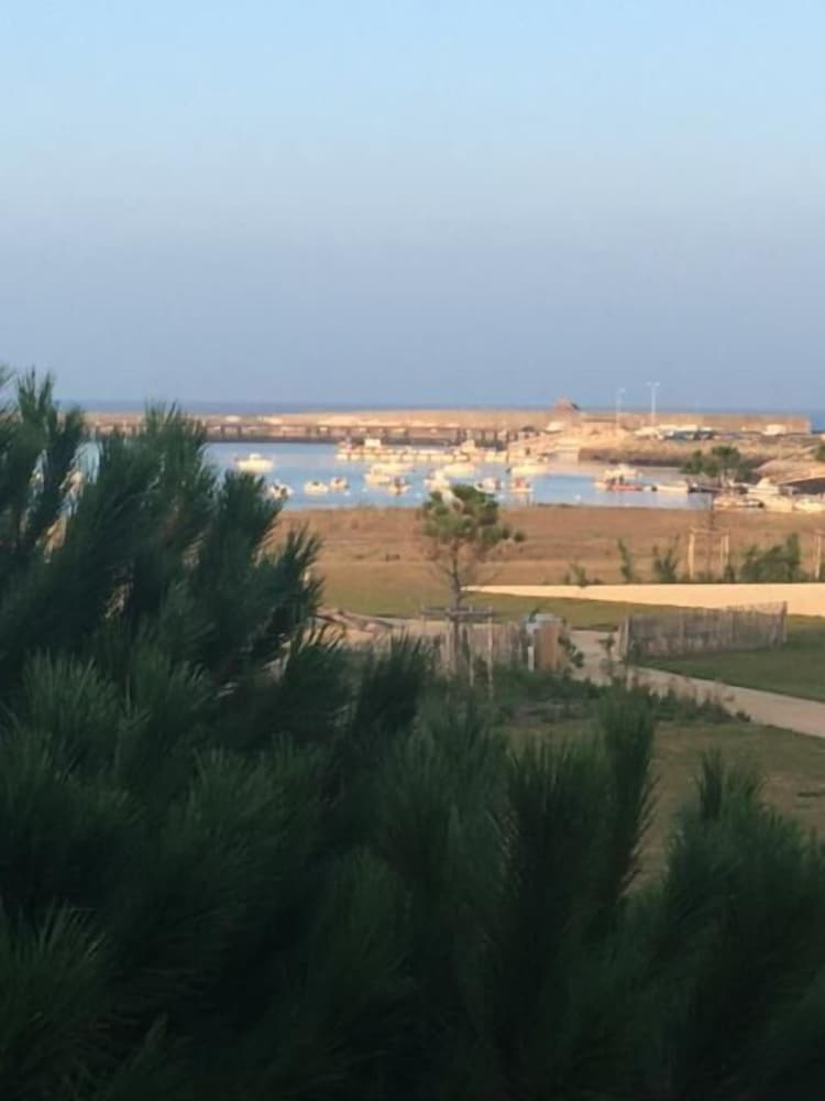 Premium Apartment, Ensuite, Sea View (Bord de mer) photo 3