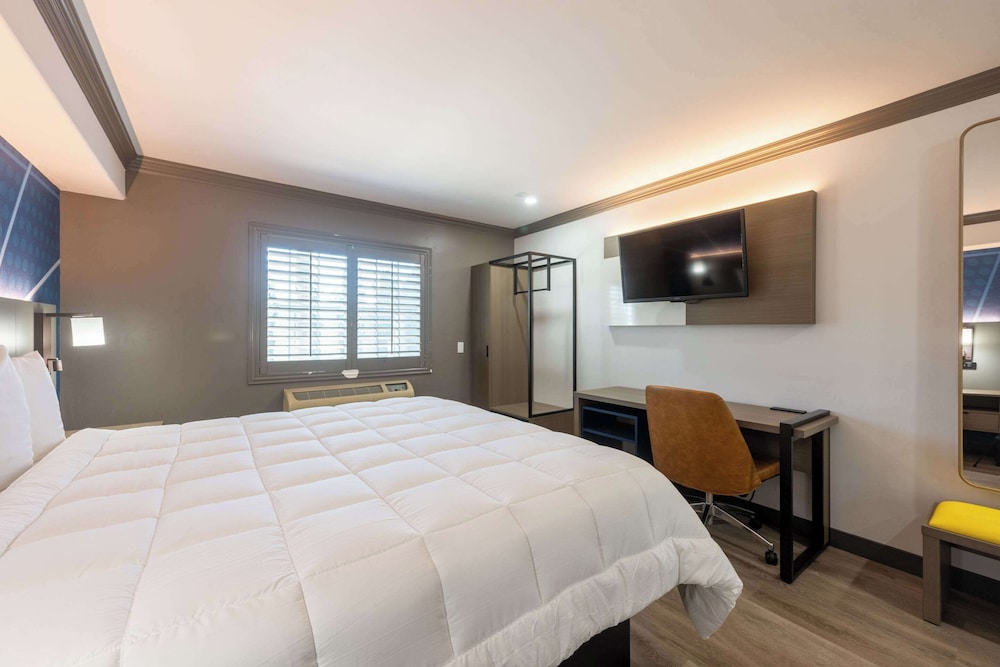 Standard Room, 1 King Bed, Non Smoking - Photo 10