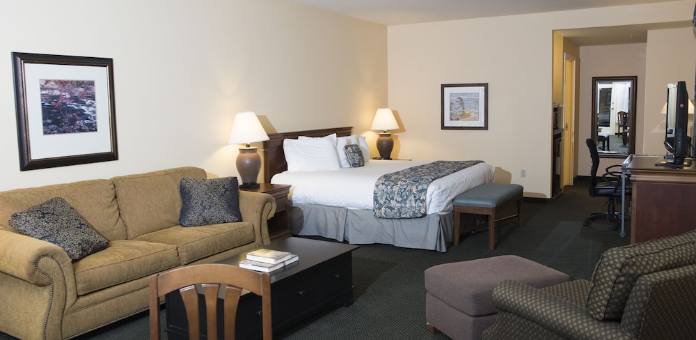 Suite, 1 King Bed with Sofa bed photo 2