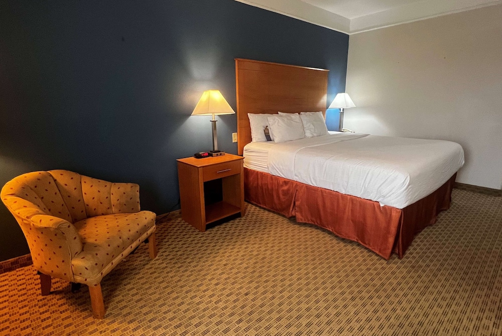 Room, 1 King Bed, Accessible, Non Smoking (Tub with Grab Bars) - Photo 6