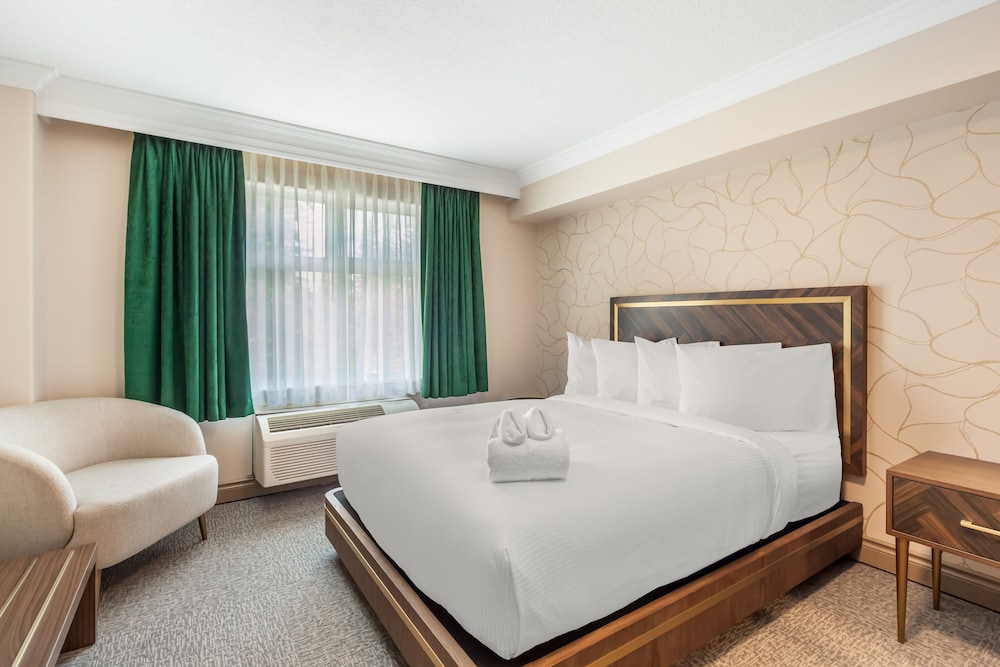 Room, 1 Queen Bed, Non Smoking (Efficiency, Upgrade) photo 1
