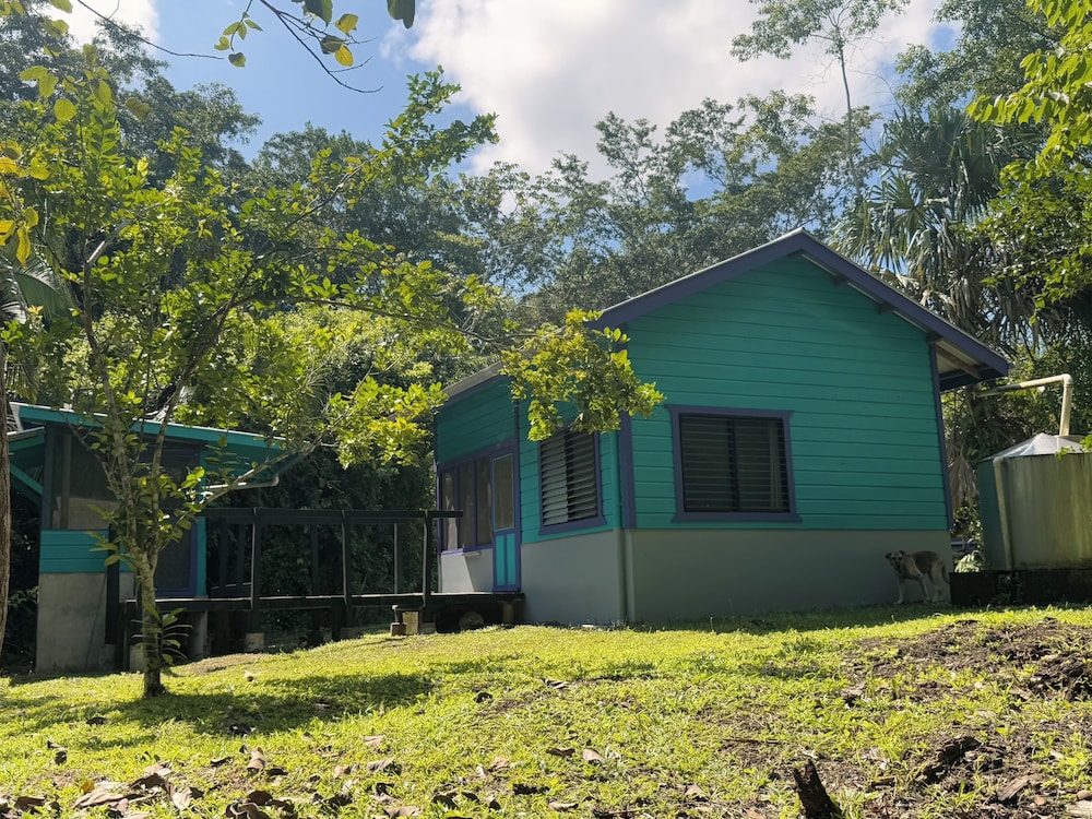 Wild Cabana in Belize - Off-Grid Jungle Experience with Private Porch photo 1