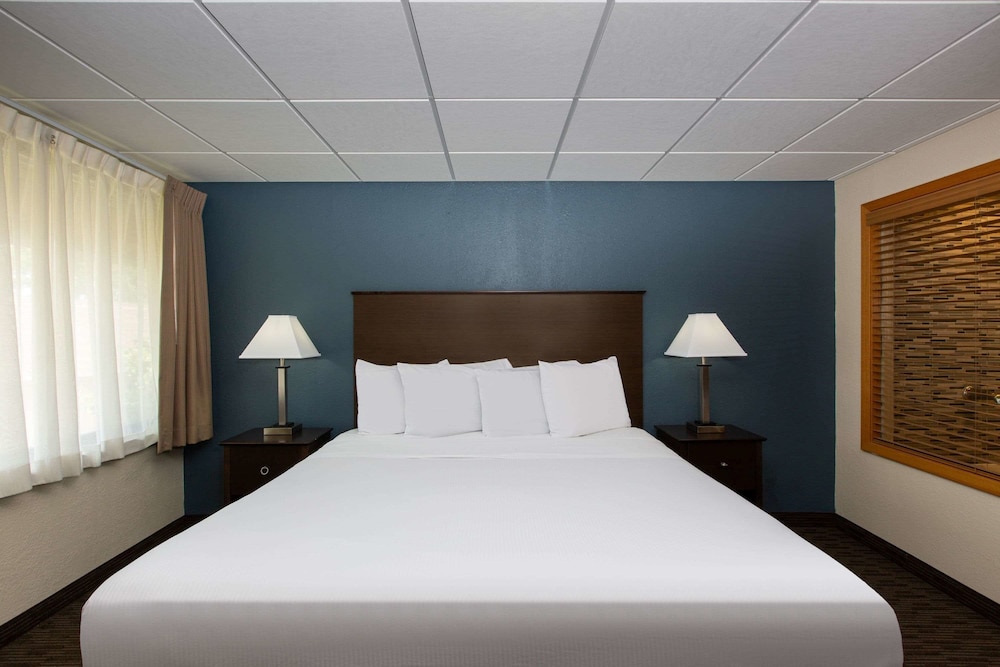 Studio Suite, 1 King Bed, Non Smoking - Photo 4