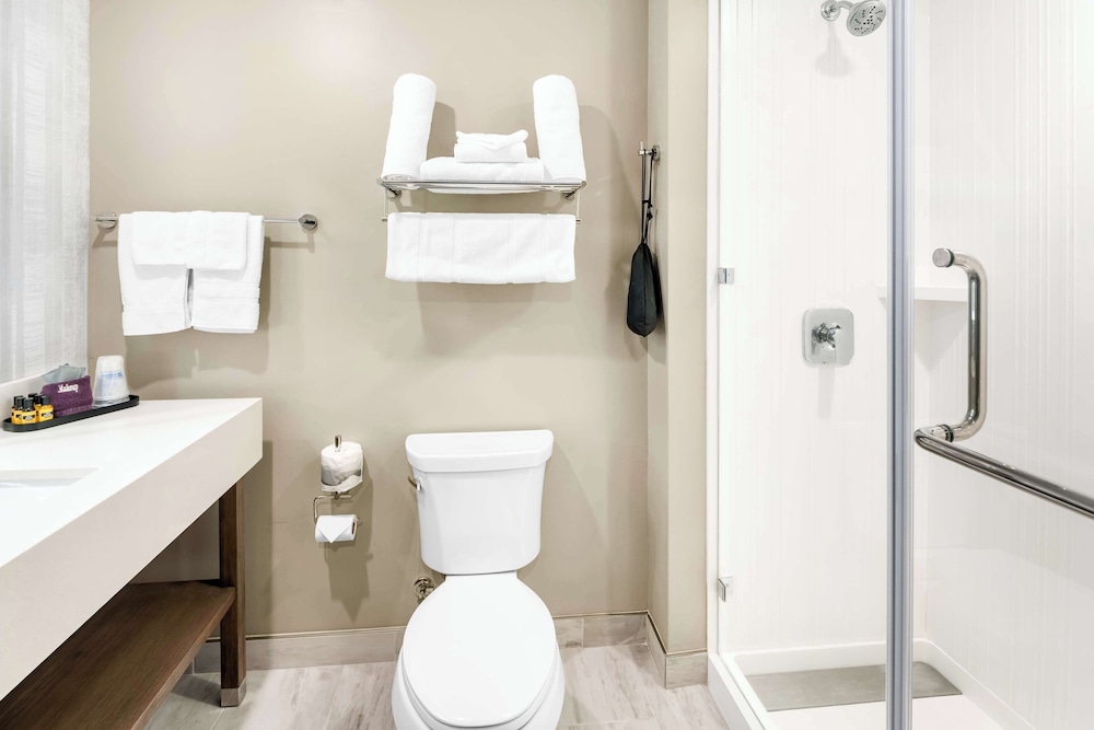Suite, 1 King Bed, Non Smoking, Refrigerator & Microwave (Walk-in Shower;with Sofabed) - Photo 4