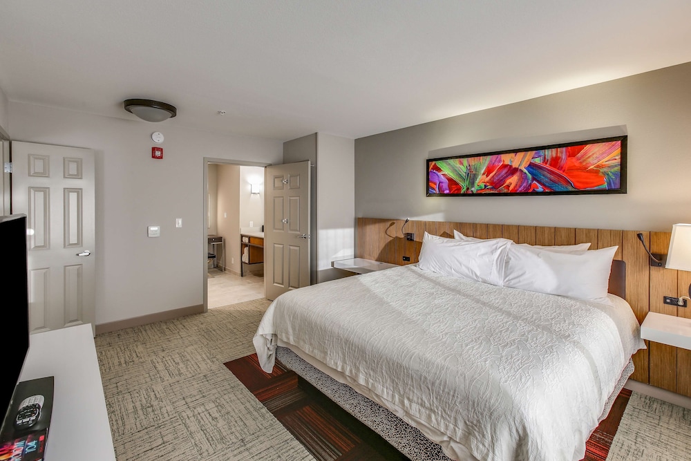 Suite, 1 King Bed - Photo 1