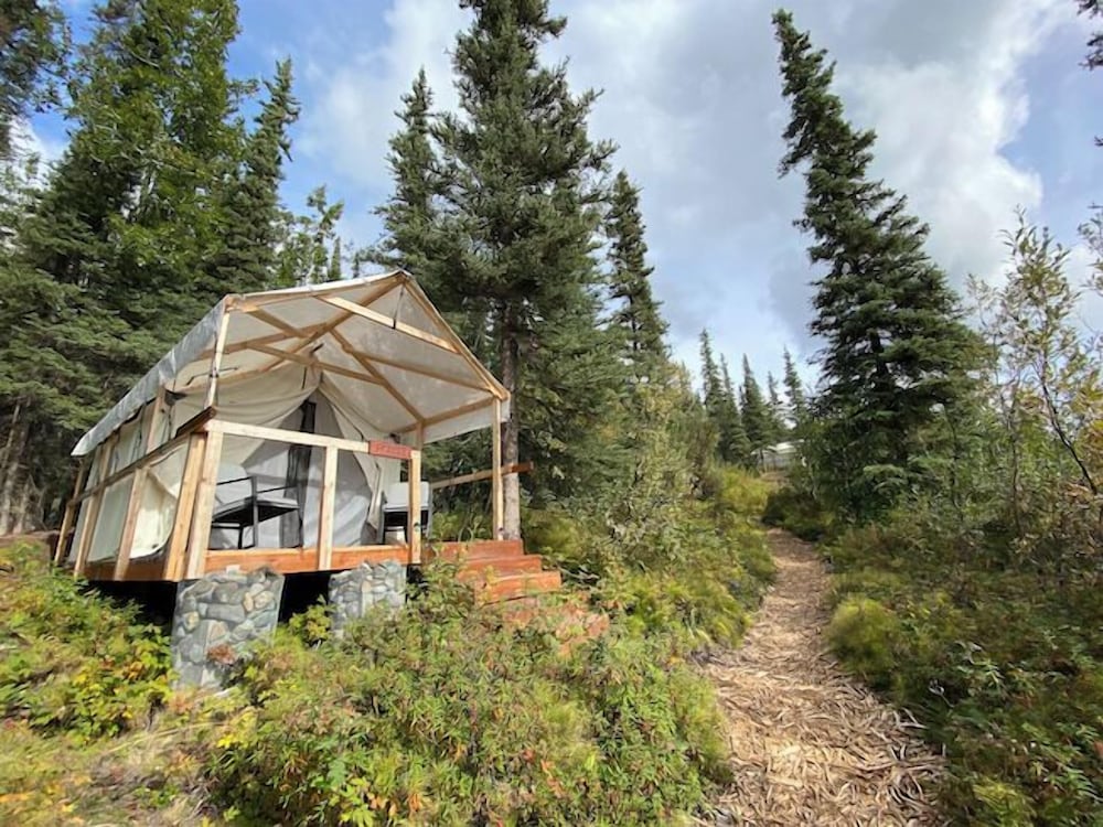 Spruce Tent