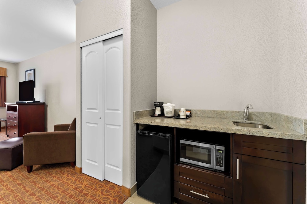Standard Room, 1 King Bed, Non Smoking, Refrigerator & Microwave (with Sofabed) photo 3