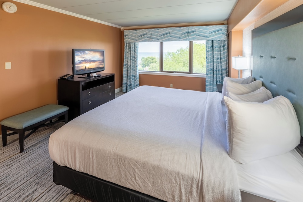 Standard Suite, 1 King Bed with Sofa bed, Park View photo 1