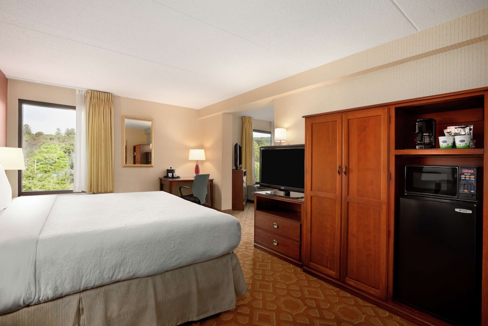 Suite, 1 King Bed, Non Smoking - Photo 1