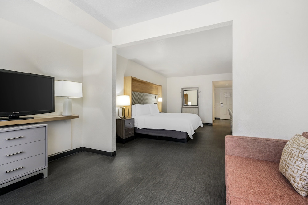 Comfort Studio Suite, 1 King Bed with Sofa bed (Extra Floor Space)