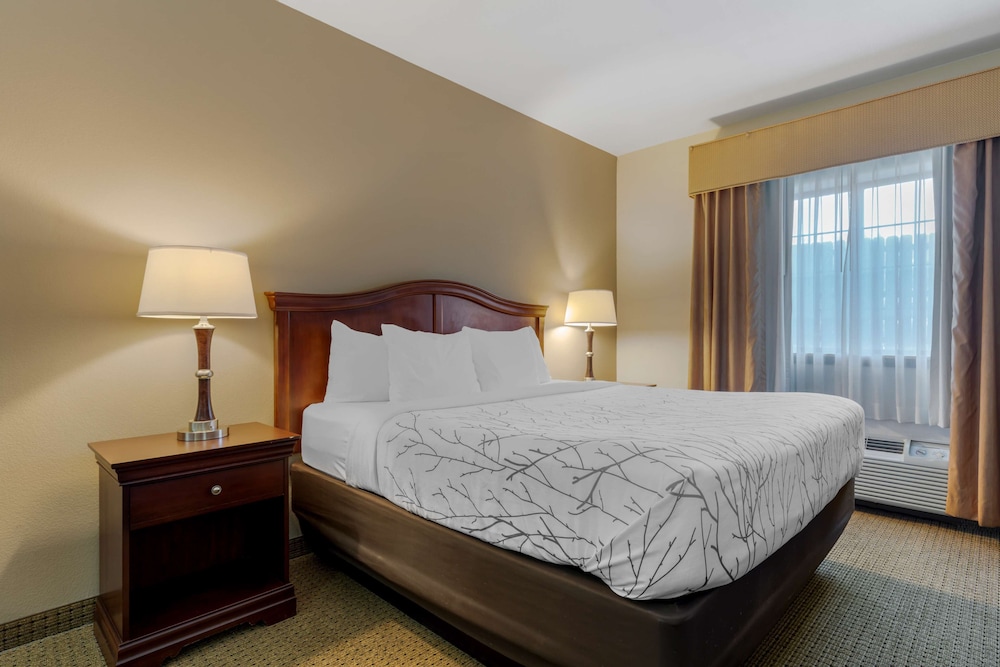 Standard Room, 1 King Bed, Non Smoking, Refrigerator & Microwave (Pet Friendly) photo 1