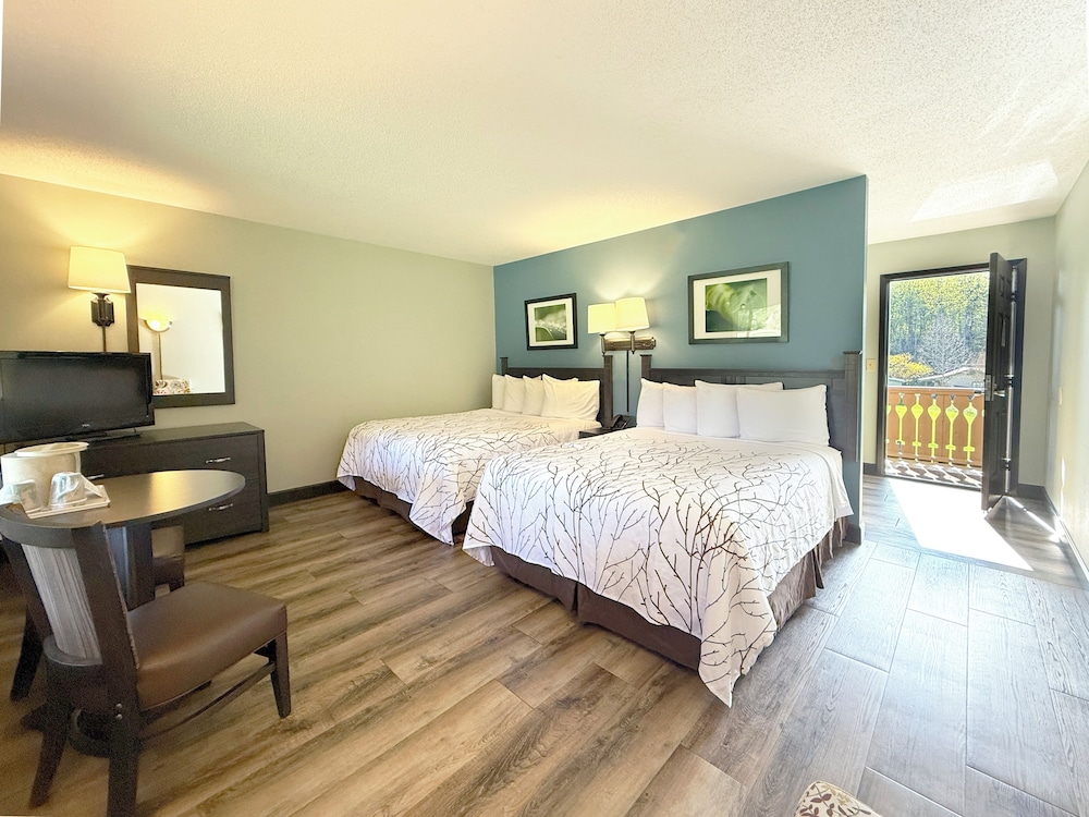Deluxe Room, 2 Queen Beds, Pets Allowed, Mountain View
