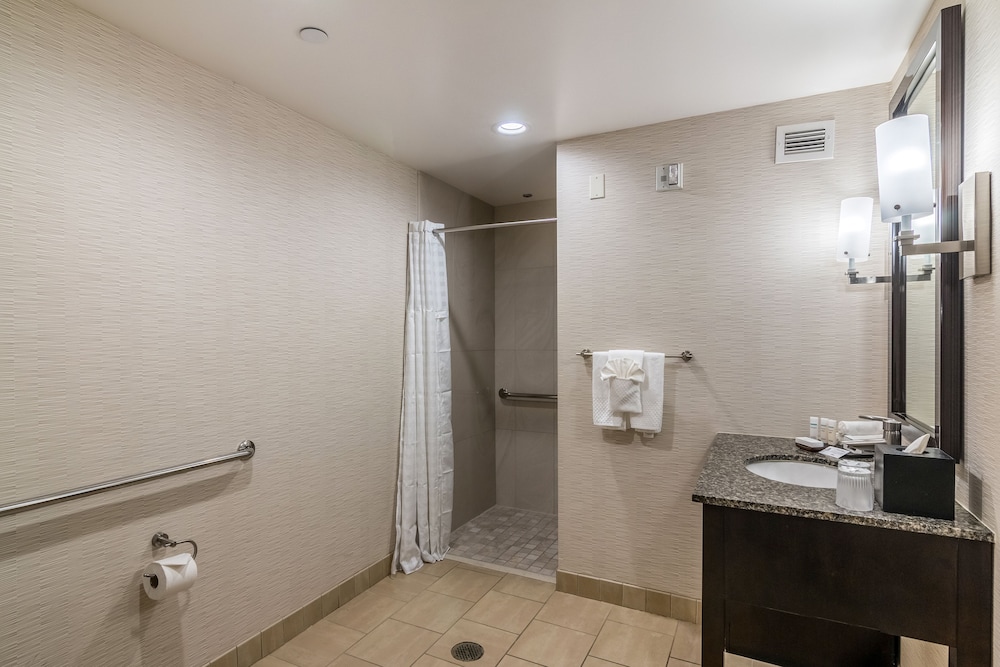 Suite, Accessible, Non Smoking - Photo 5