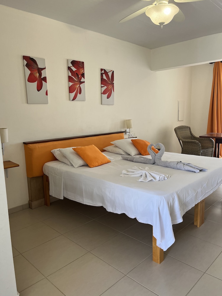 Superior Studio Suite, 1 King Bed, Terrace, Partial Ocean View photo 1