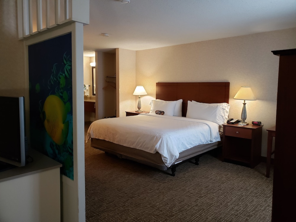 Suite, Multiple Beds (1 Bunk Bed) photo 1