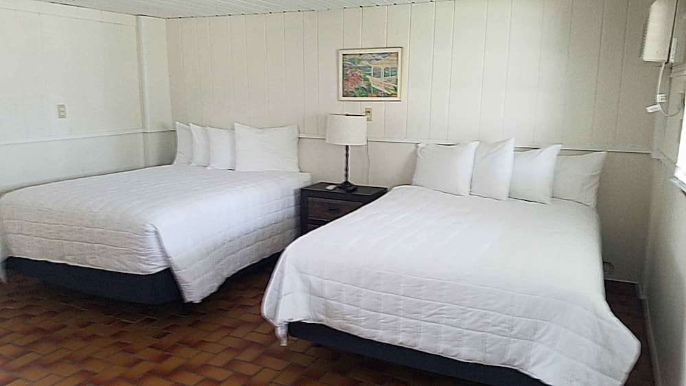 Suite, 1 Bedroom, Kitchen, Sea Facing photo 2