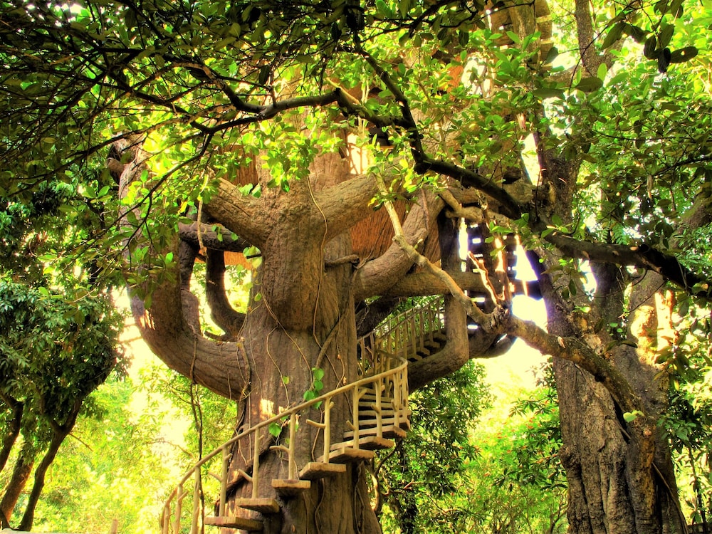 Tree House Machan photo 2