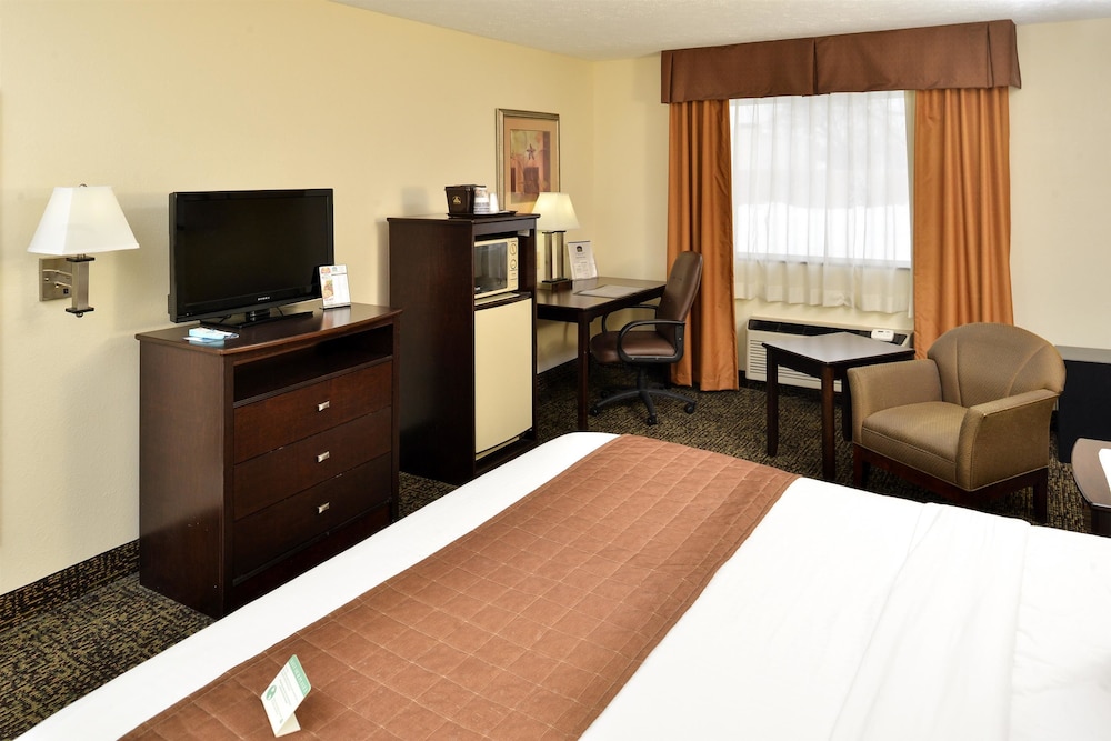 Standard Room, 1 King Bed, Non Smoking, Refrigerator & Microwave - Photo 3