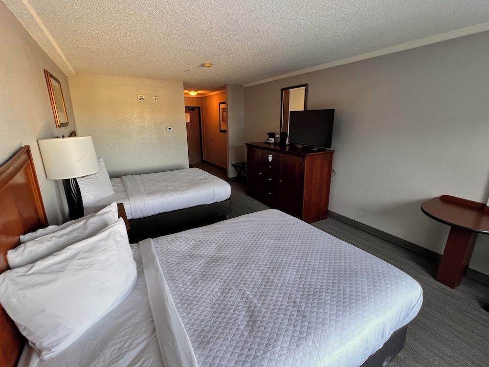 Deluxe Suite, Multiple Beds, Non Smoking photo 3