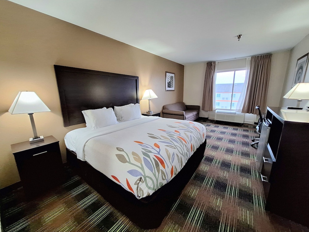 Room, 1 King Bed, Accessible - Photo 4