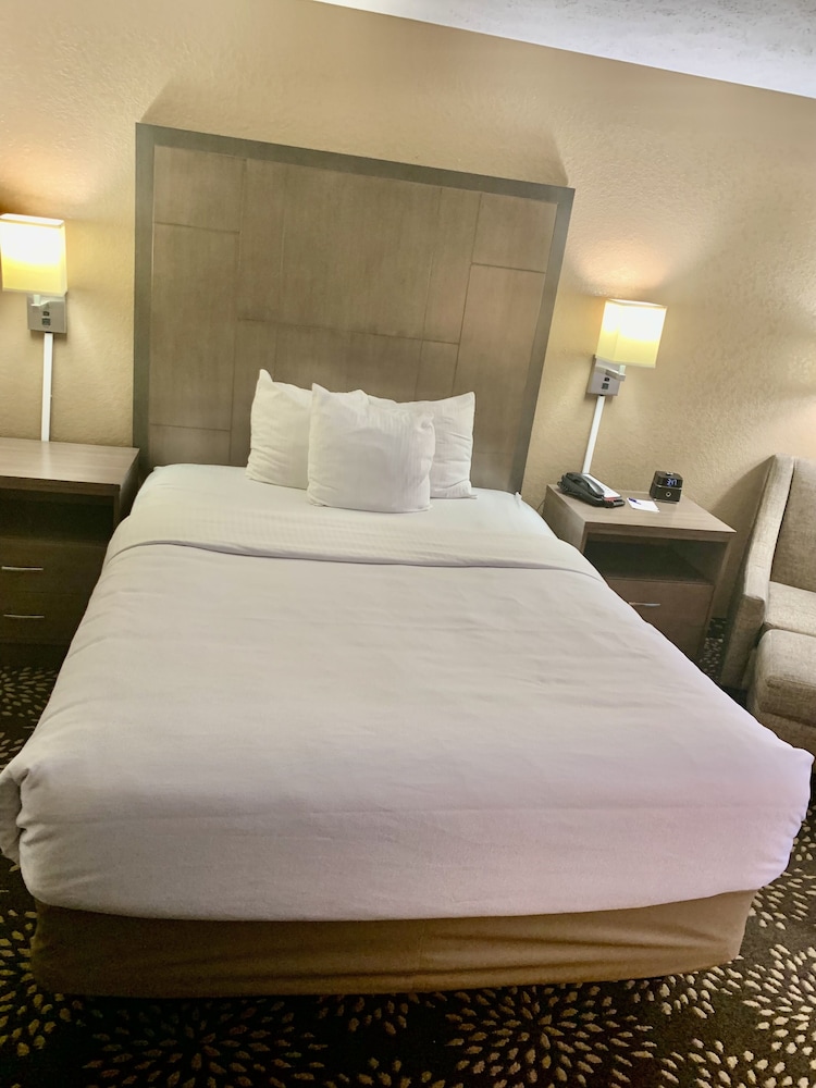 Standard Room, 1 Queen Bed, Non Smoking photo 3