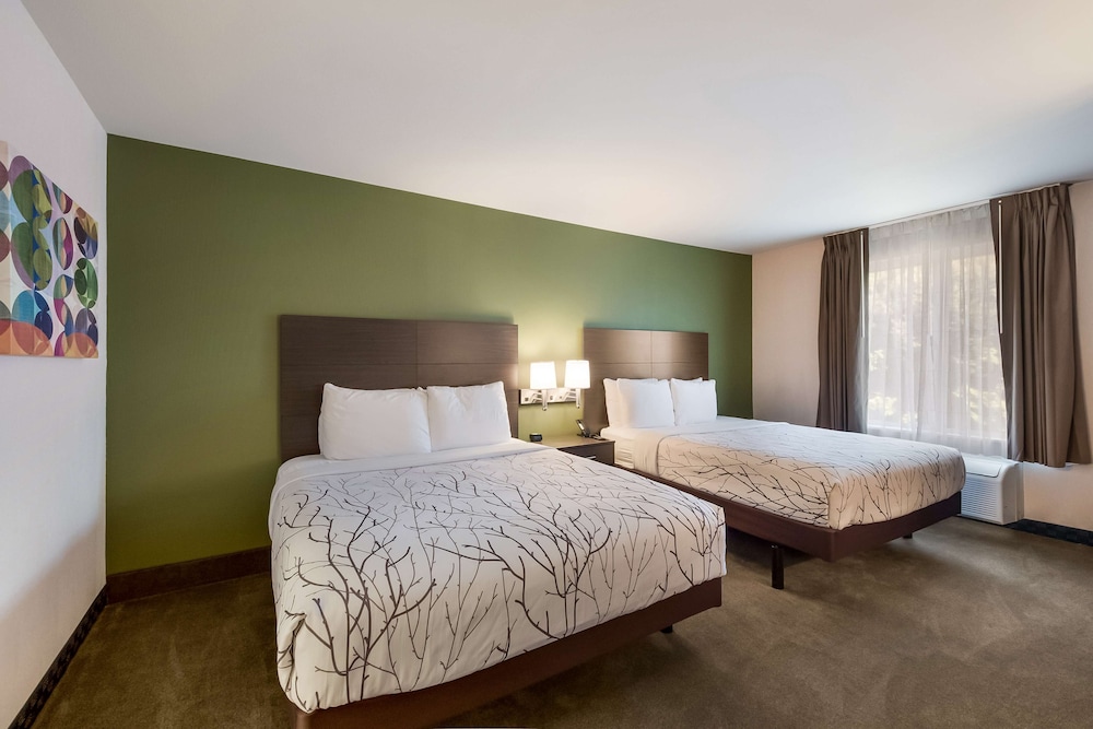 Suite, 2 Queen Beds, Non Smoking, Refrigerator & Microwave (with Sofabed) - Photo 1