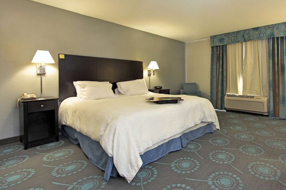 Room, 1 King Bed, Accessible, Non Smoking photo 1