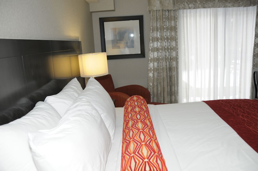 Room, 1 King Bed photo 2