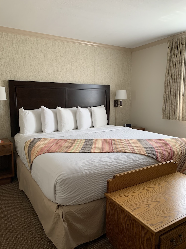 Family Suite, 1 Queen Bed with Sofa bed, Kitchenette