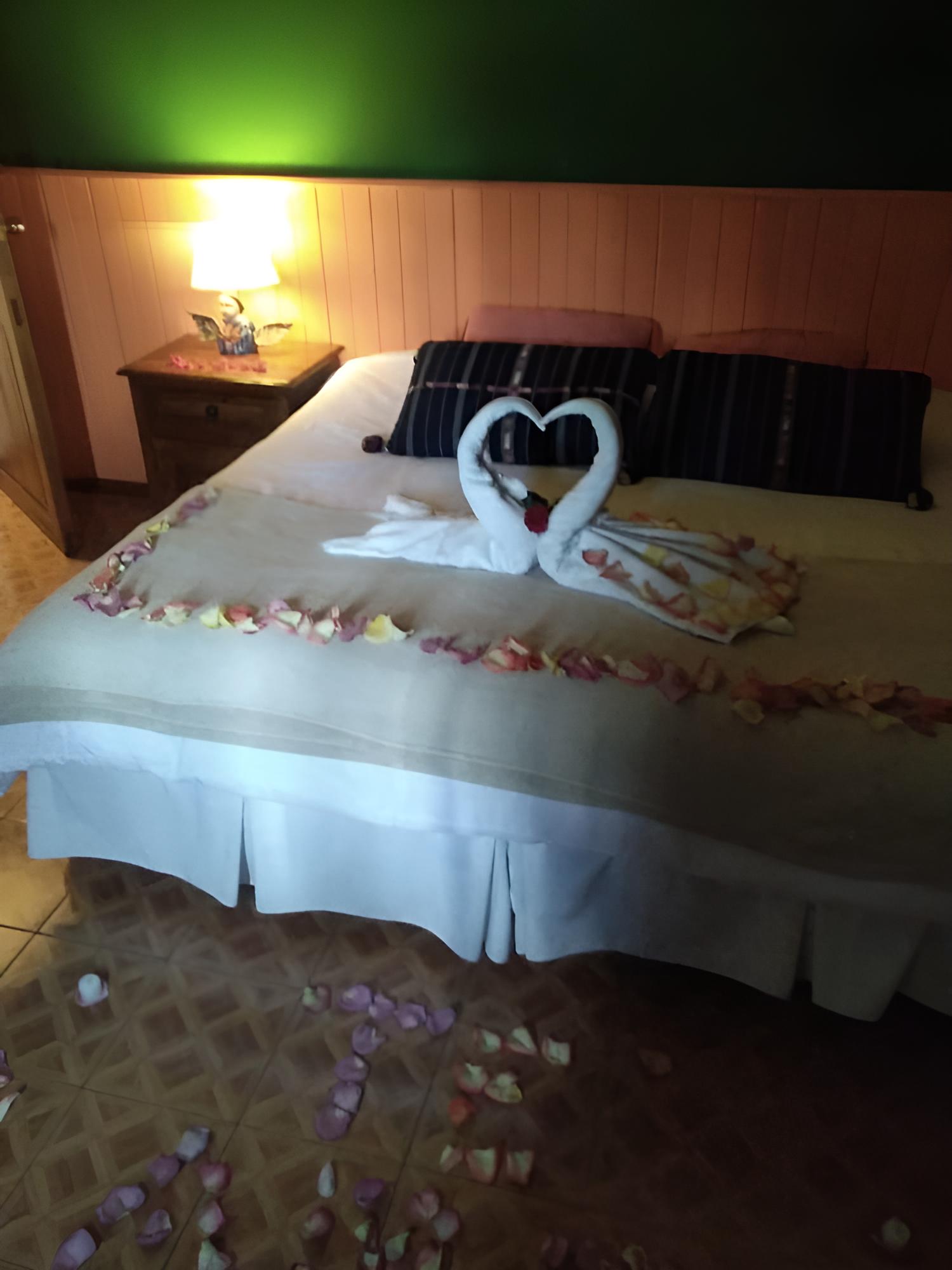 Double Room Single Use, Balcony photo 1