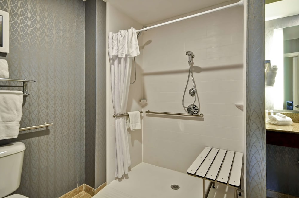 Premium Suite, 1 King Bed, Accessible (Mobility & Hearing, Roll-in Shower)