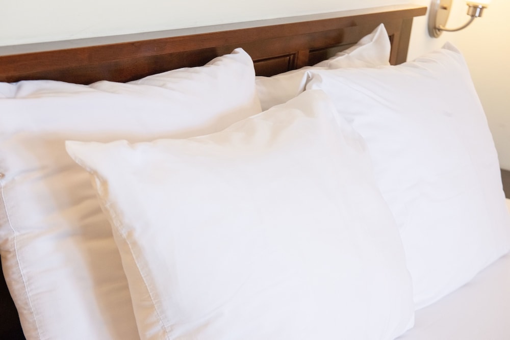Standard Room, 1 Queen Bed, Accessible, Refrigerator & Microwave (Walk-in Shower)