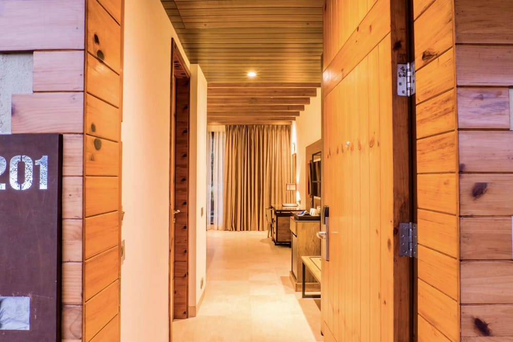 Premier Room photo 3