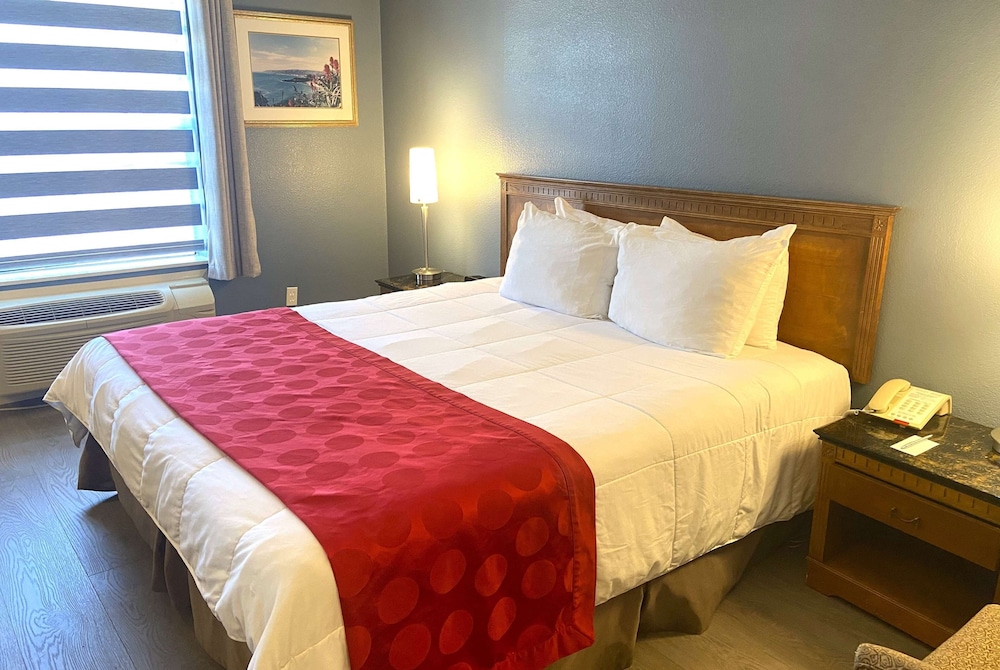 Suite, 1 Bedroom, Non Smoking (1 Kingbed) photo 1