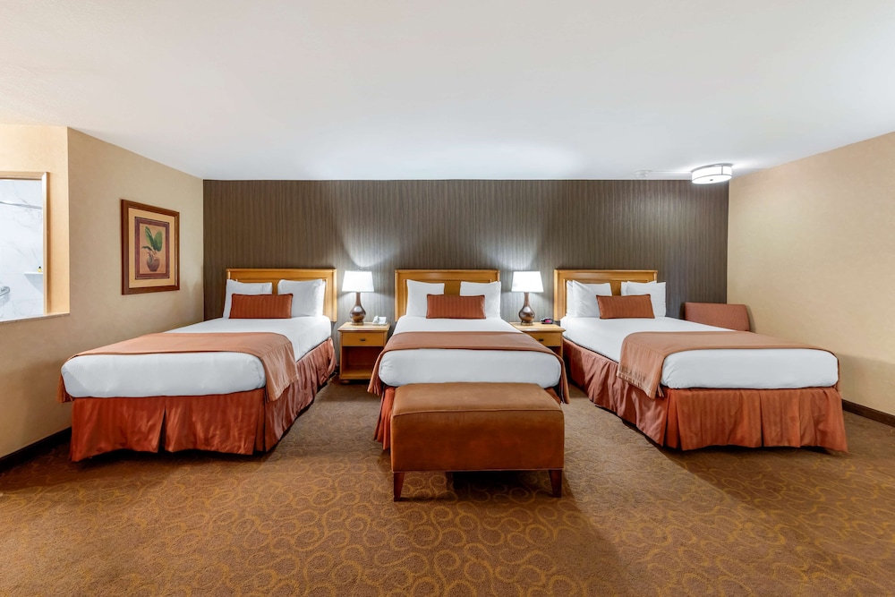 Suite (1 King Bed) - Photo 1