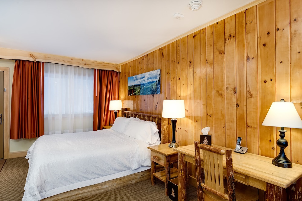 Deluxe Single Room, 1 King Bed, Terrace photo 3