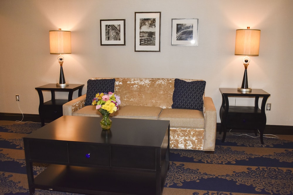 Executive Room, 1 King Bed photo 2