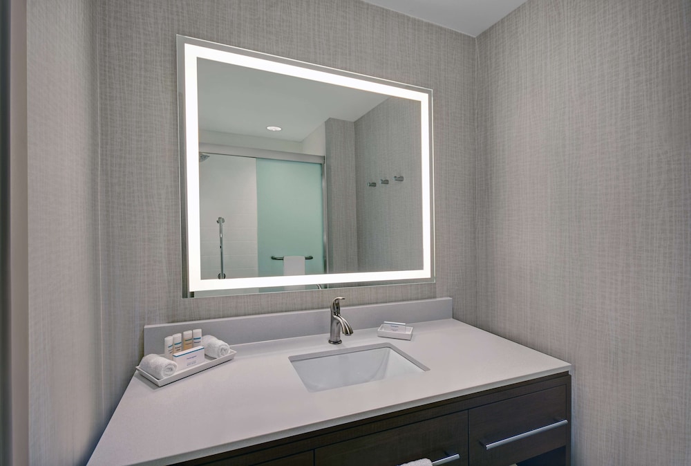Suite, 1 King Bed (Roll-In Shower) - Photo 3
