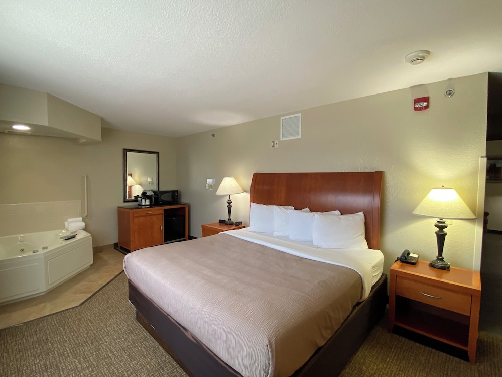 Suite (Two Room) photo 1