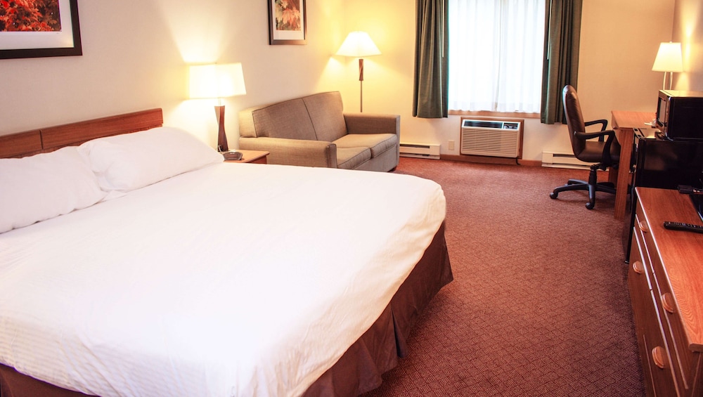 Room, 1 King Bed, Non Smoking (Non Pet-Friendly) photo 2