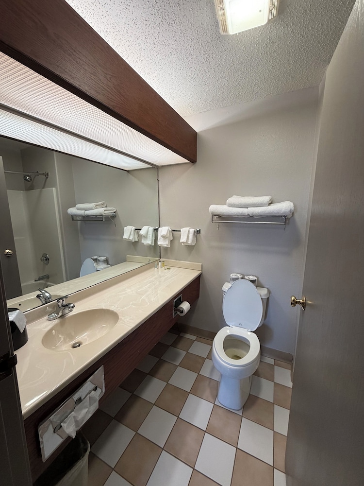 Deluxe Studio, 1 King Bed, Refrigerator & Microwave photo 3