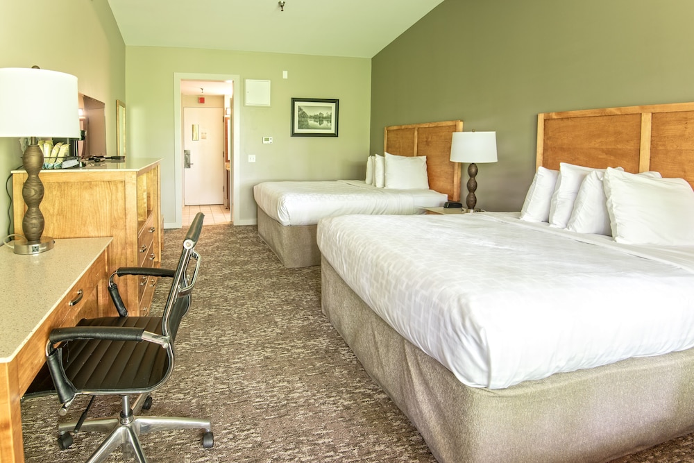 Room, 2 Queen Beds photo 3