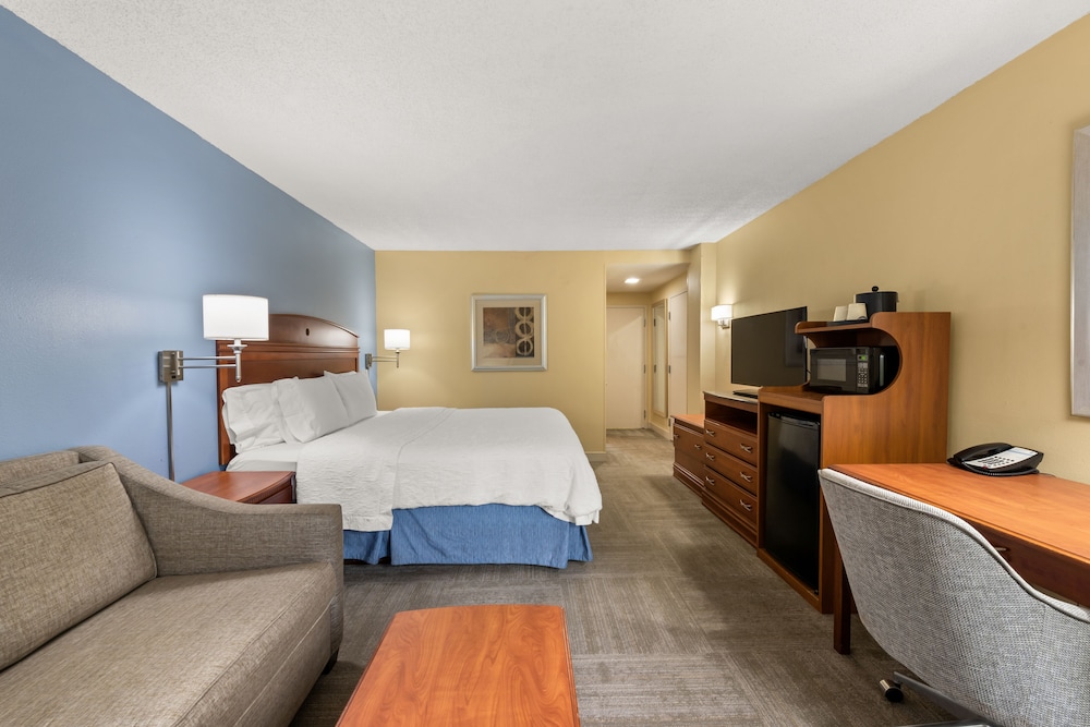 Accessible Room, 1 King Bed (Mobility Bathtub) photo 3