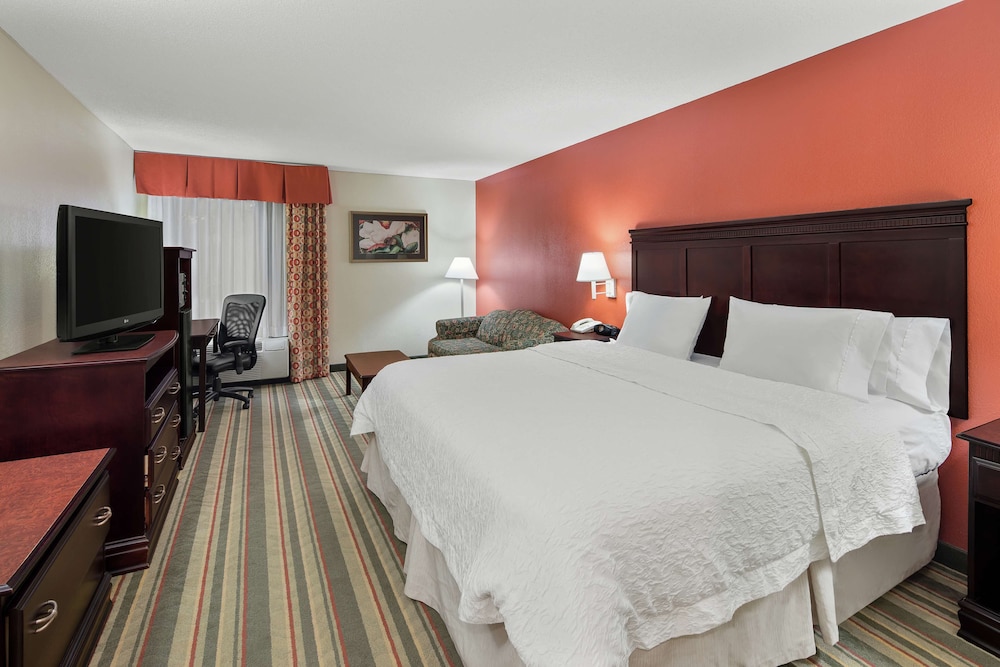 Standard Room, 1 King Bed with Sofa bed, Non Smoking photo 3