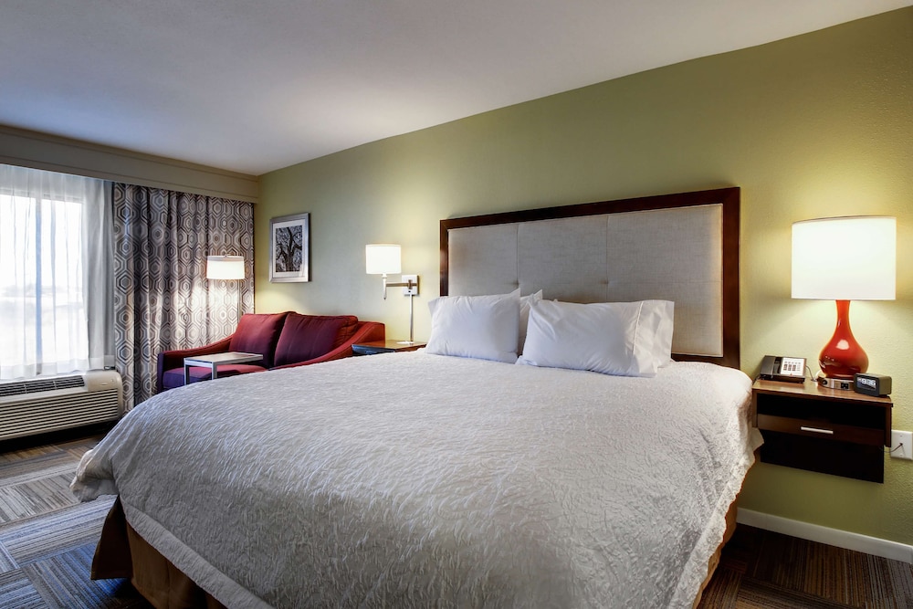 Room, 1 King Bed, Refrigerator & Microwave photo 1