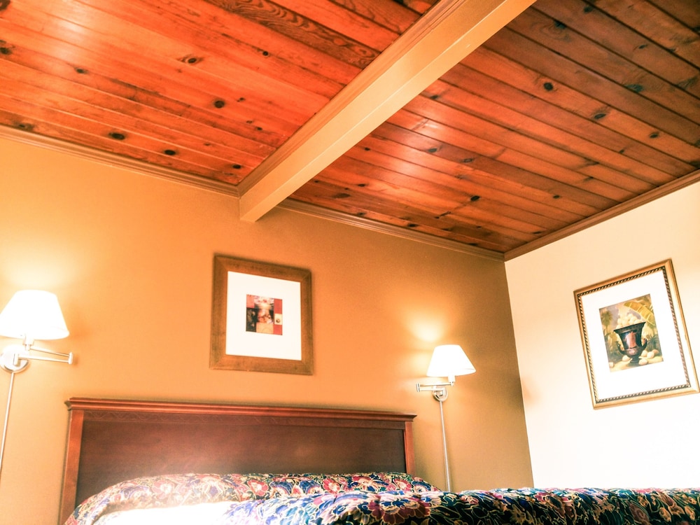 Premium Room, 1 King Bed photo 1