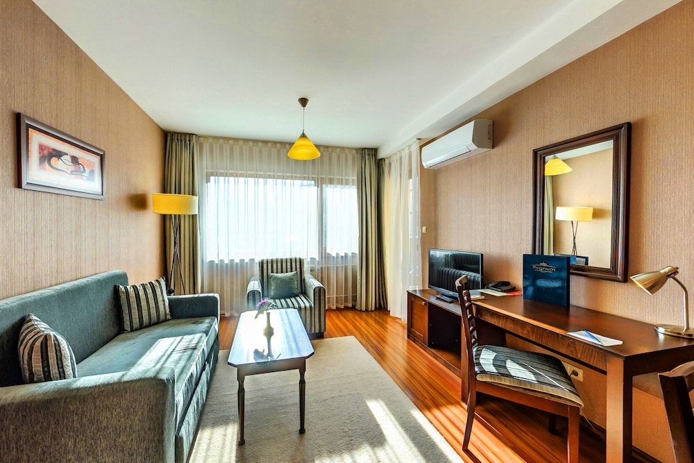 Deluxe Suite, Mountain View - Photo 7