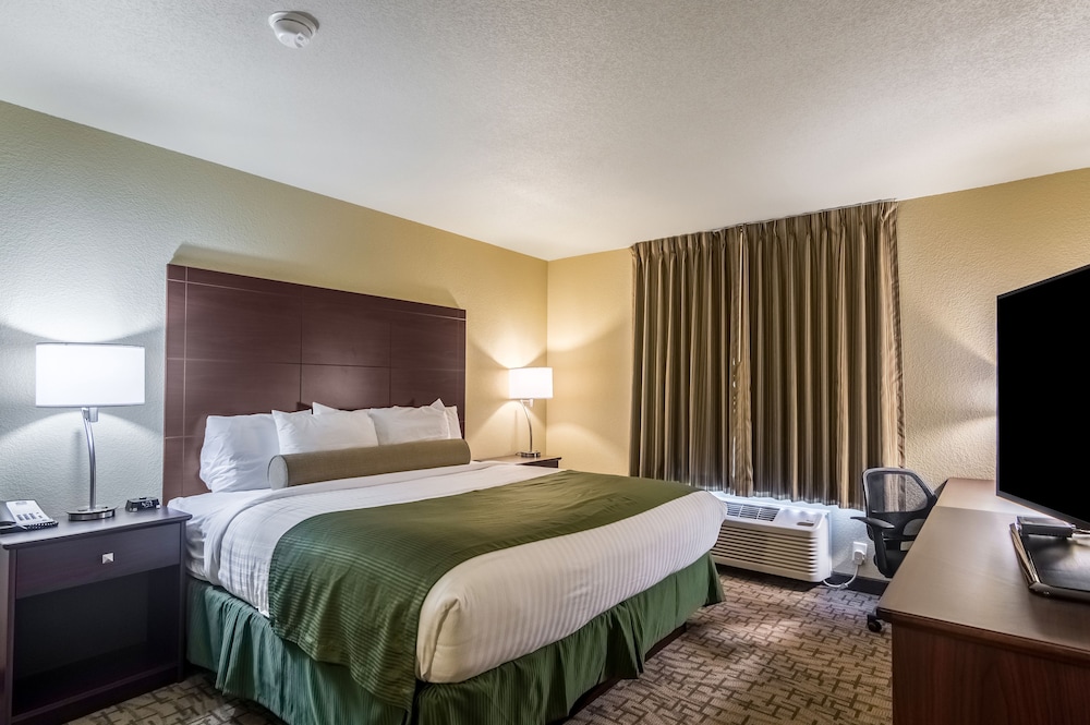 Room, 1 King Bed, Non Smoking photo 1